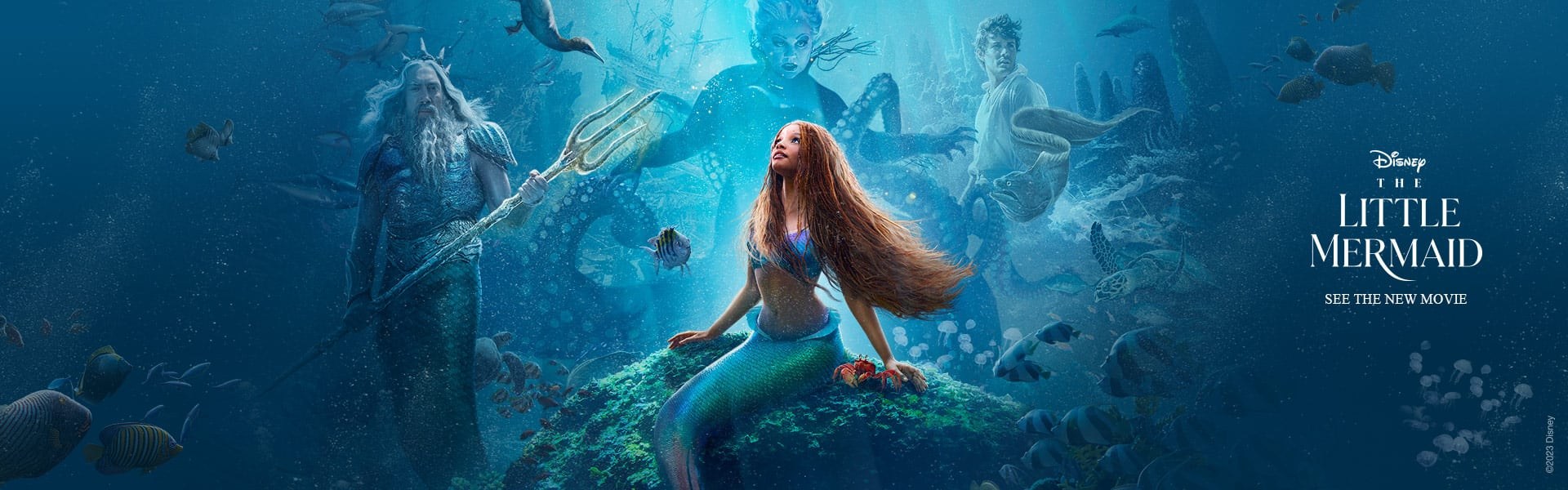 Δείτε το trailer της ταινίας