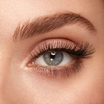 First Category Image